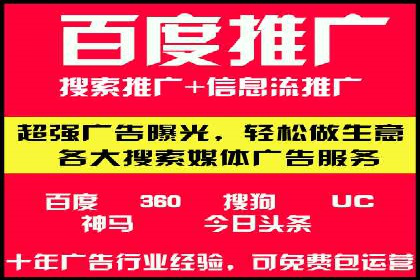 百度推广实战攻略：案例与策略